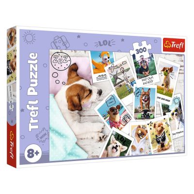 Пазл Trefl Фото з відпустки 300 елементів (23003)