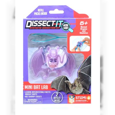 Набір для дослідів Joker Slimy Lab Анатомія тварин - Кажан S (38087)