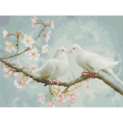 Алмазна мозаїка Brushme Пара голубів (RDBS7027)