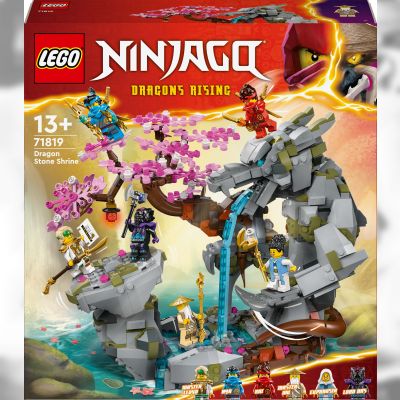 Конструктор LEGO NINJAGO Храм каменю дракона (71819)
