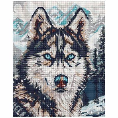 Алмазна мозаїка Ідейка Очі півночі 40 х 50 см (AMO20041)