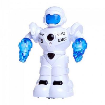 Робот Shantou Yisheng Нео (2629-T13A)