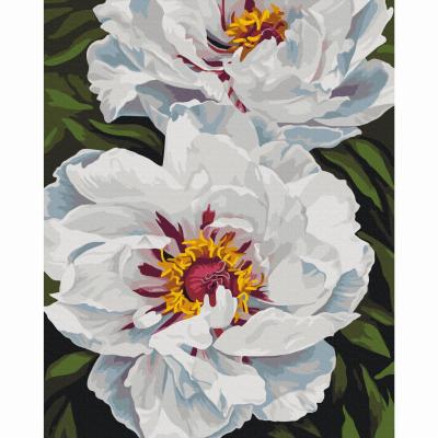 Картина за номерами Brushme Біле сяйво Анастасія Альохіна (BS54477)