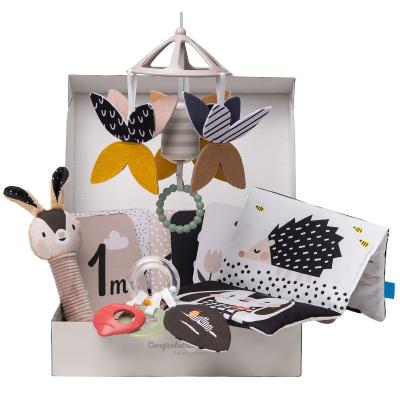 Подарунковий набір Taf Toys Садочок у місті Чорно-біла гармонія (13475)