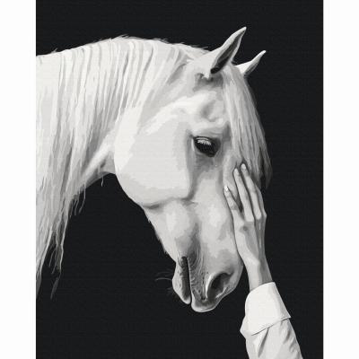 Картина за номерами Brushme Білий міраж (BS54416)