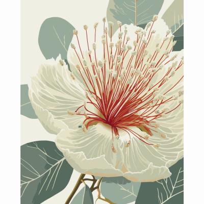 Картина за номерами Art Craft Квітучий евкаліпт 40 х 50 см (13155-AC)