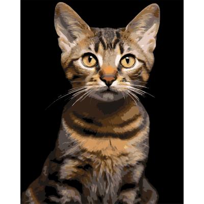 Картина за номерами Strateg Смугастий кіт на чорному фоні 40 х 50 см (AH1284)
