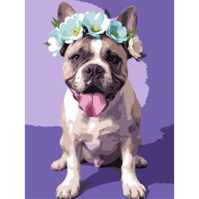 Картина за номерами Strateg Пес у віночку 30 х 40 см (SS-1283)