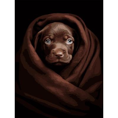 Картина за номерами Strateg Песик у пледі на чорному фоні 30 х 40 см (FH-26)