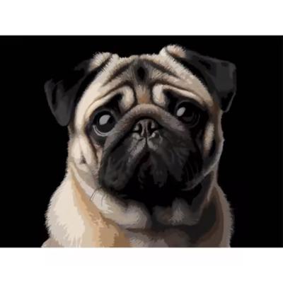 Картина за номерами Strateg Мопс на чорному фоні 30 х 40 (FH-34)