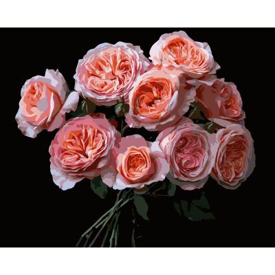 Картина за номерами Strateg Рожеві квіти на чорному фоні 40 х 50 см (AH1256)