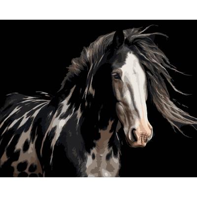 Картина за номерами Strateg Розкішний кінь на чорному фоні 40 х 50 см (AH1296)