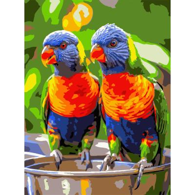 Картина за номерами Strateg Яскраві папуги 30 х 40 см (SS-1258)