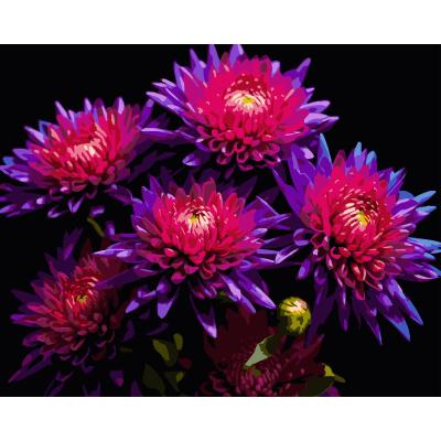 Картина за номерами Strateg Айстри на чорному фоні 40 х 50 см (AH1298)