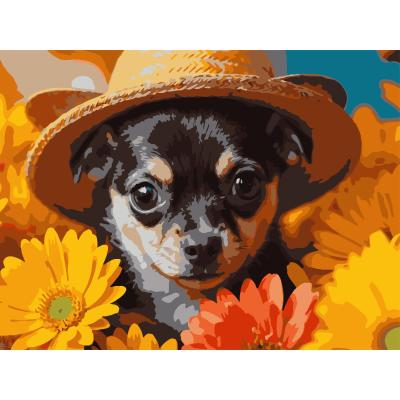Картина за номерами Strateg Пес у солом'яному капелюсі 30 х 40 см (SS-1311)