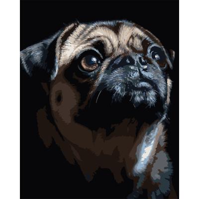 Картина за номерами Strateg Портрет мопса на чорному фоні 40 х 50 см (AH1290)