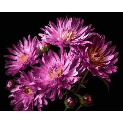 Картина за номерами Strateg Оксамит жоржин на чорному фоні 40 х 50 см (AH1267)