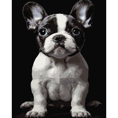 Картина за номерами Strateg Маленький пес на чорному фоні 40 х 50 см (AH1277)