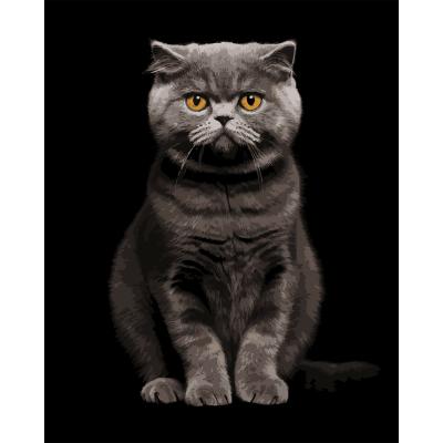 Картина за номерами Strateg Сірий аристократ на чорному фоні 40 х 50 см (AH1272)