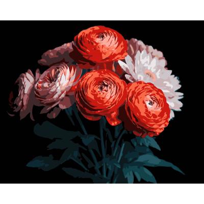 Картина за номерами Strateg Червоні ранункулюси на чорному фоні 40 х 50 см (AH1250)
