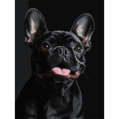 Картина за номерами Strateg Французький чорний бульдог на чорному фоні 30 х 40 (FH-32)