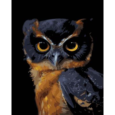 Картина за номерами Strateg Погляд ночі на чорному фоні 40 х 50 (AH1269)